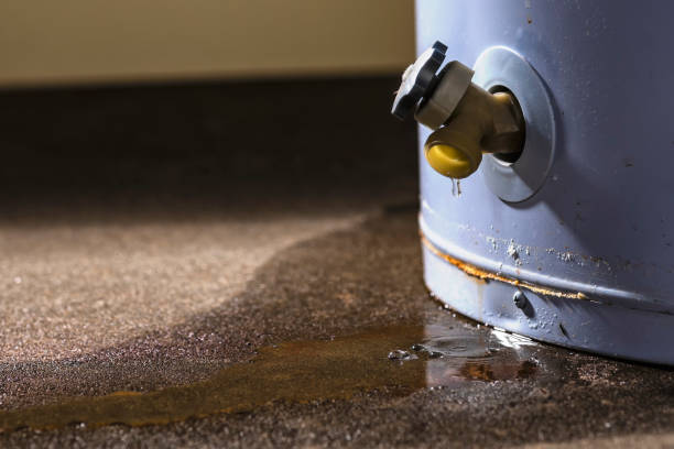 Best Water damage repair service  in Newport, MN