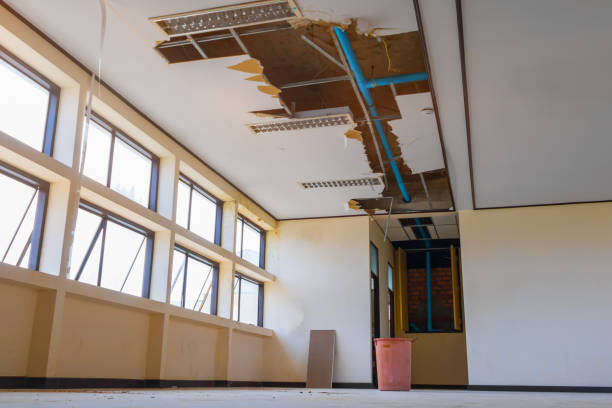 Best Water damage restoration near me  in Newport, MN