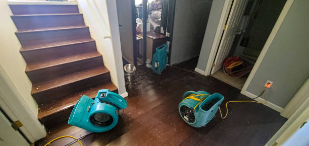 Best Flood damage cleanup  in Newport, MN