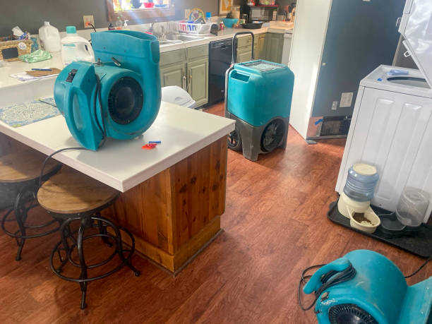 Best 24-hour water damage restoration  in Newport, MN