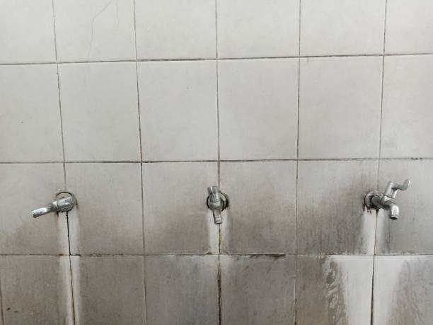 Best Emergency water damage restoration  in Newport, MN