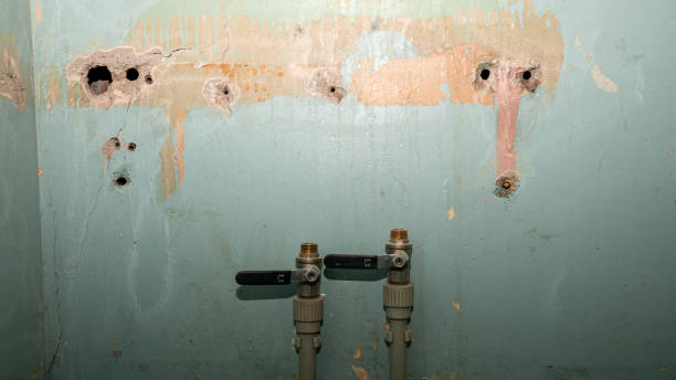 Best Residential water damage restoration  in Newport, MN