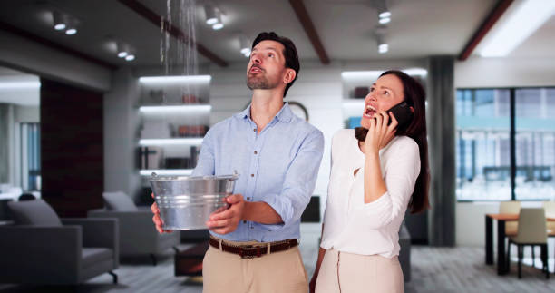 Best Sewage cleanup and water damage restoration  in Newport, MN
