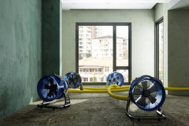Water damage restoration insurance claims in MN