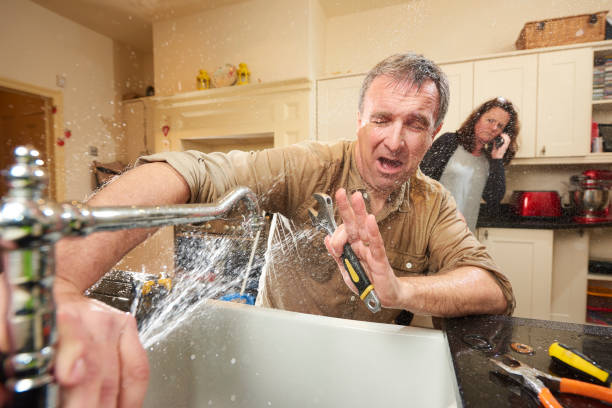 Best 24/7 water damage repair  in Newport, MN